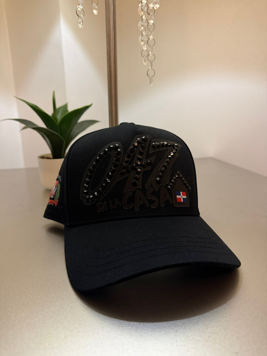047 EN LA CASA