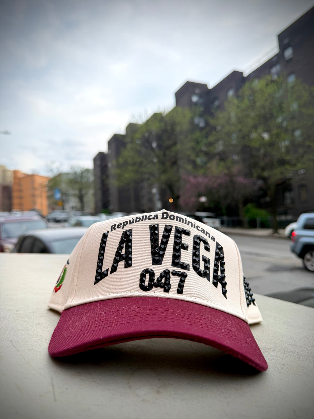LA VEGA 047, RD