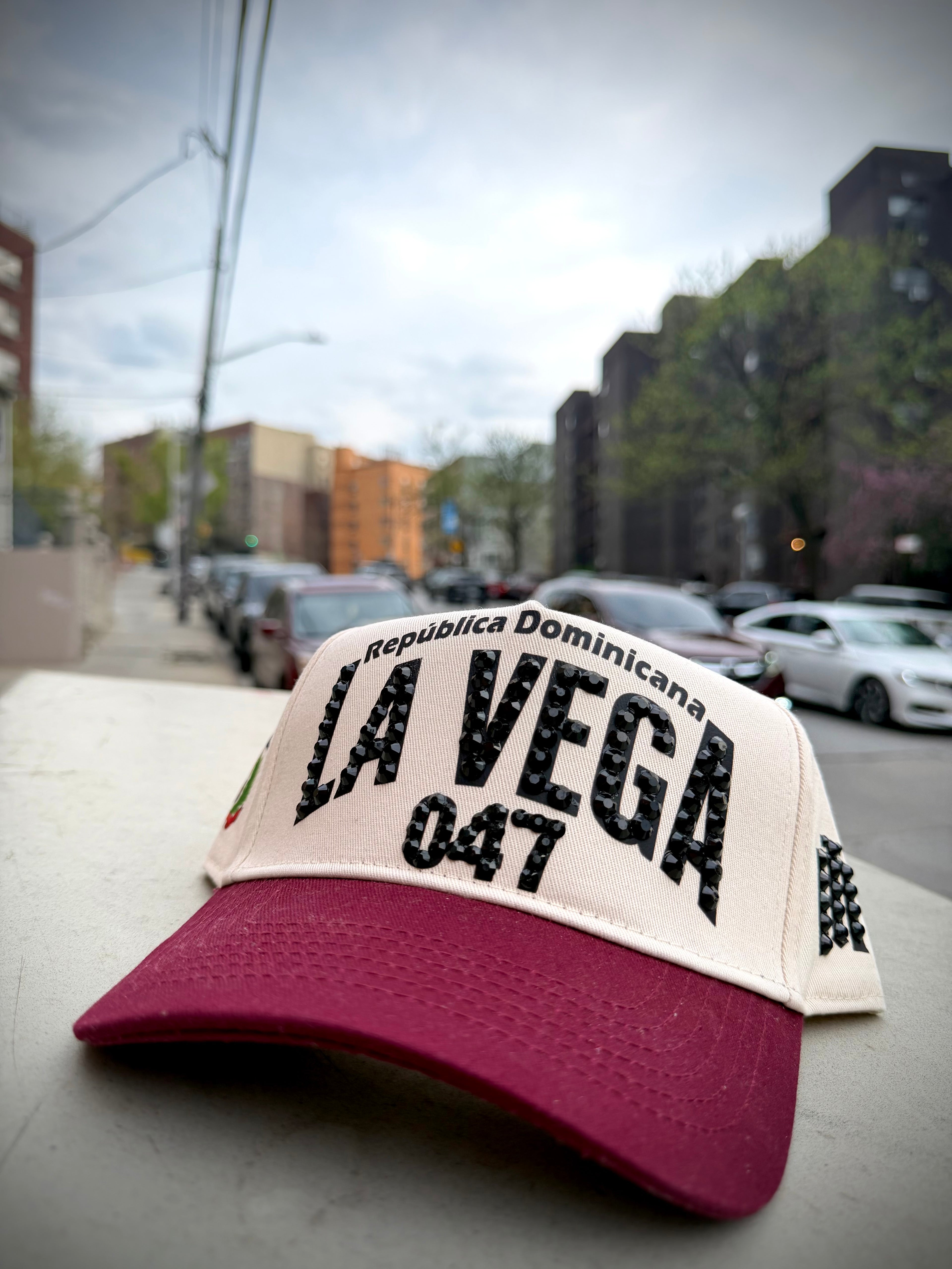 LA VEGA 047, RD