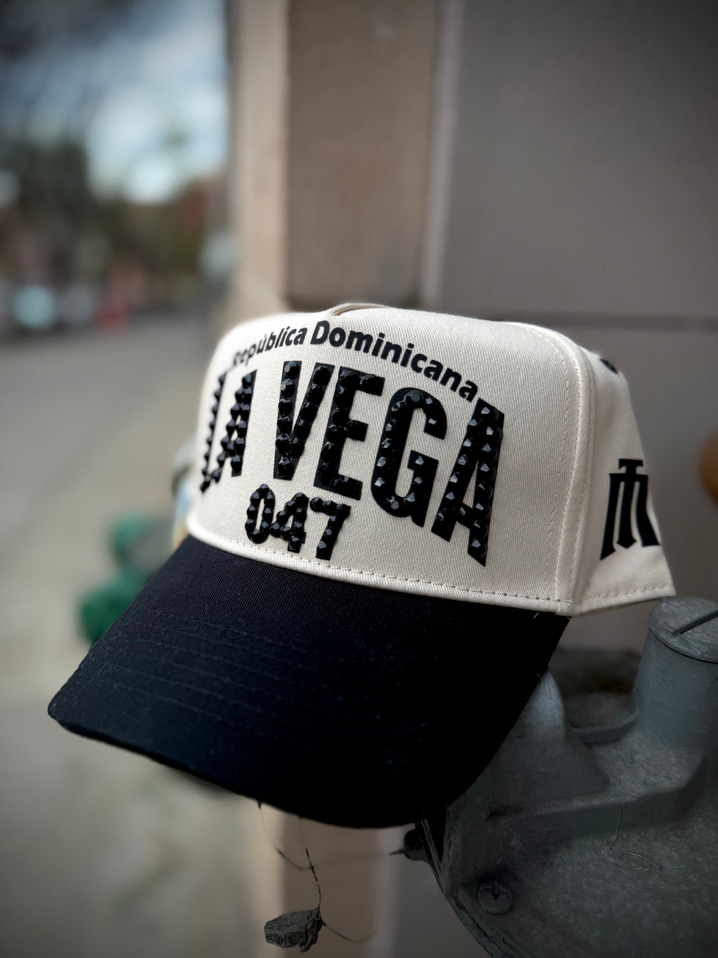 LA VEGA 047