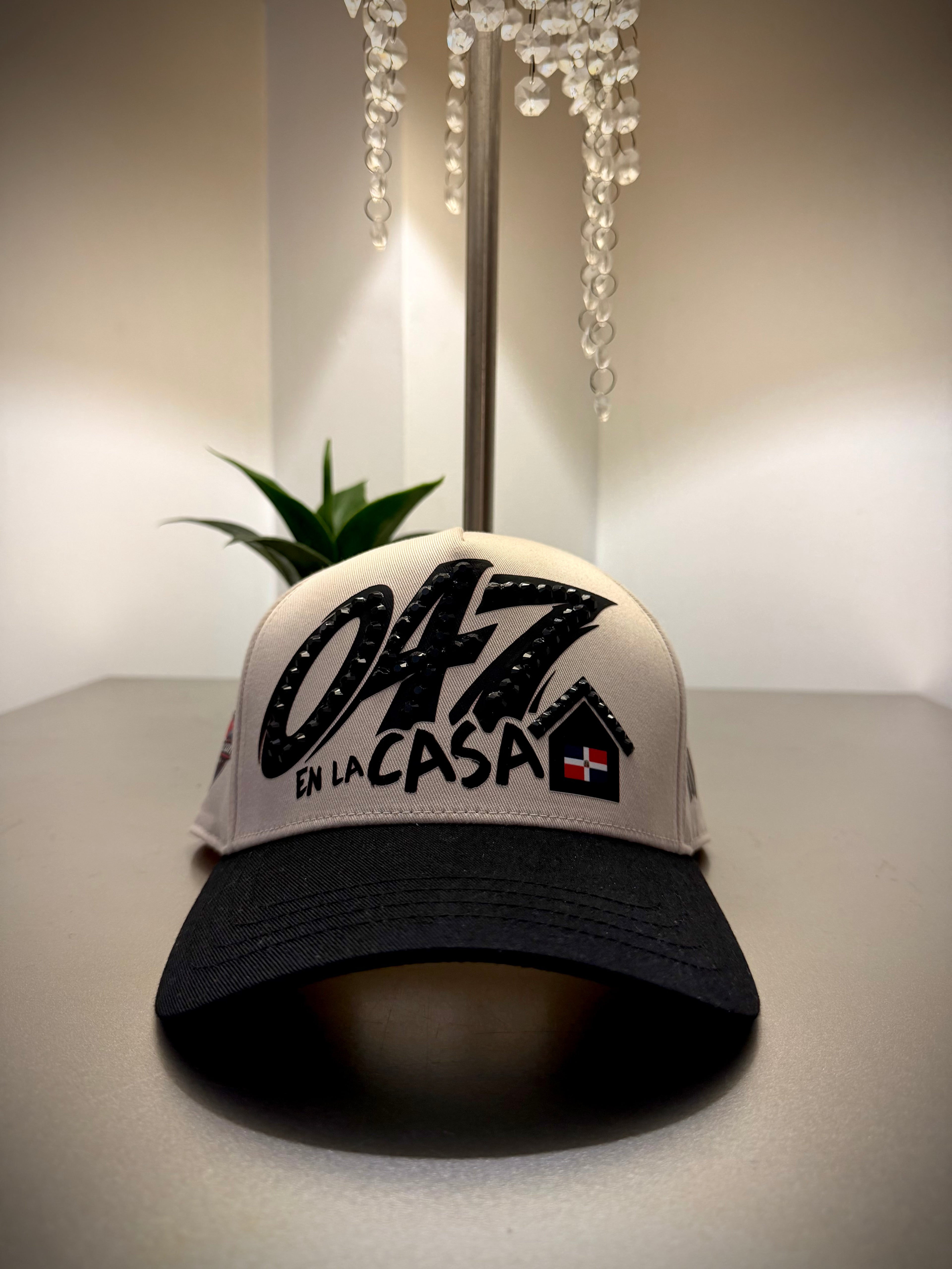 047 EN LA CASA