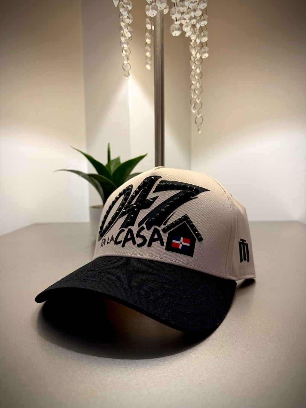 047 EN LA CASA